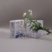 Methenolone Enanthate ZPHC (RPL МСТ-oil) 10ml|100mg Ампулы