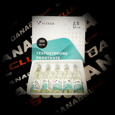 TESTOSTERONE ENANTHATE Vizega 5ml|250mg Пачка