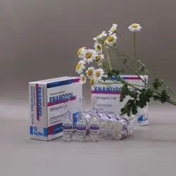 Enandrol Balkan 10ml|250mg Ампулы