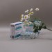 Cipandrol Balkan (RPL МСТ-oil) 10ml|200mg Ампулы 
