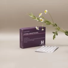ANASTROZOLE Hydra 25tab|1mg Блистер (срок до 08.25) ANASTROZOLE Hydra 25tab|1mg Блистер (срок до 08.25)